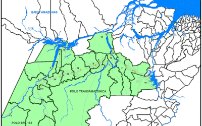 A Caminhada que Clama por Melhorias na Agricultura Familiar.