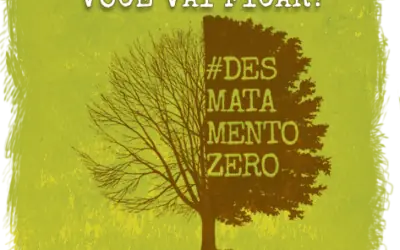 Qual o impacto do desmatamento zero no Brasil?