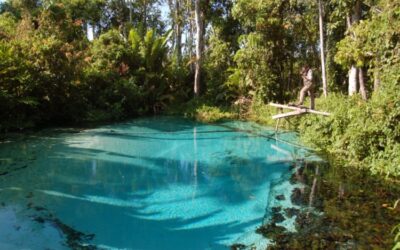 ICMBio usará drones no combate ao desmatamento na Amazônia