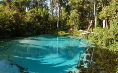 ICMBio usará drones no combate ao desmatamento na Amazônia