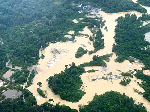 Projeto mapeia conflitos agrários no Pará e auxilia lideranças ameaçadas