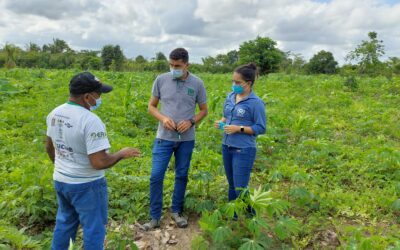 Ferramenta de ATER Híbrida