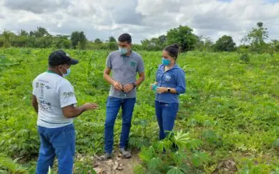 Ferramenta de ATER Híbrida