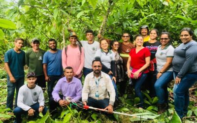 DIA DE CAMPO: BIOECONOMIA E MANEJO SUSTENTÁVEL DO CACAU EM ANAPU
