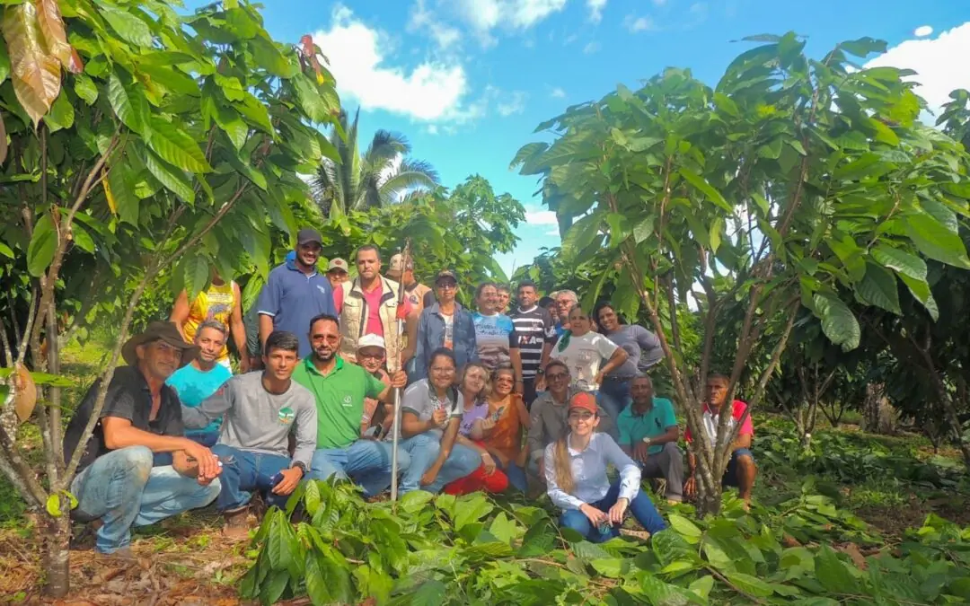 Dia de Campo: Bioeconomia e Manejo Sustentável do cacau em Brasil Novo – Km 16