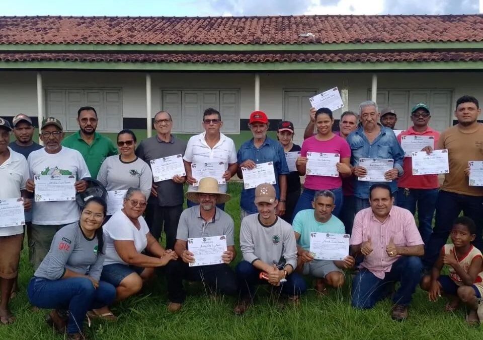 Dia de Campo: Bioeconomia e Manejo Sustentável do Cacau em Brasil Novo – Agrovila Carlos Pena Filho