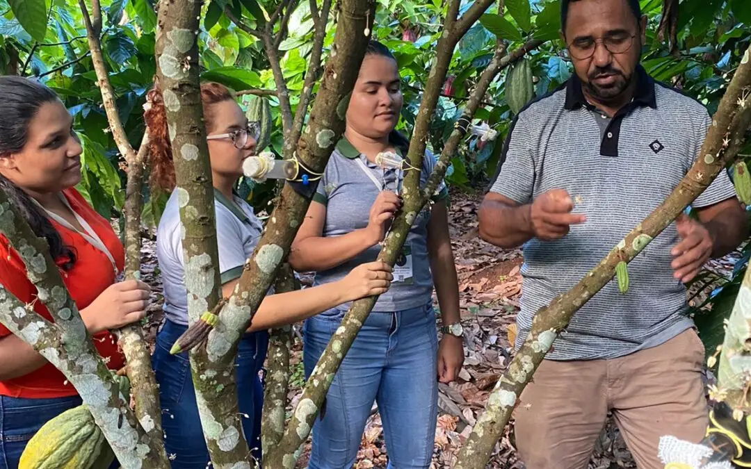 INTERCÂMBIO TÉCNICO DE MANEJO DO CACAU EM SISTEMAS AGROFLORESTAIS