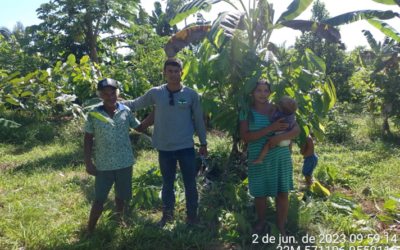 Visitas de Assistência Técnica e Extensão Rural (ATER) no município de Pacajá,Pa