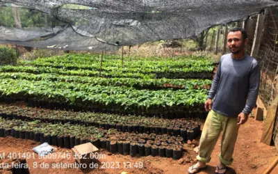 Assistência Técnica e Extensão Rural (ATER) no Município de Vitória do Xingu