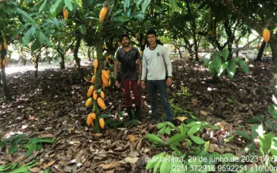 Assistência Técnica e Extensão Rural (ATER) no município de Senador José Porfirio-Pará