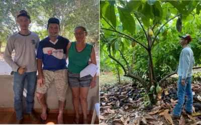 Assistência Técnica e Extensão Rural no Município de Altamira-PA