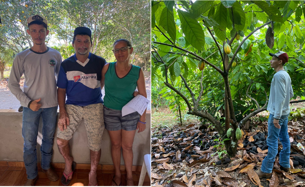 Assistência Técnica e Extensão Rural no Município de Altamira-PA