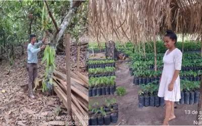 Assistência Técnica e Extensão Rural (ATER) no município de Anapu, Pará