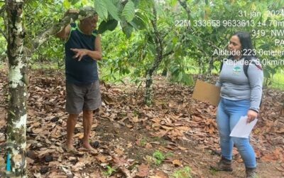 Assistência Técnica e Extensão Rural (ATER) no município de Brasil Novo – PA