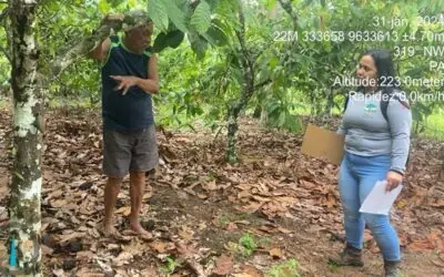 Assistência Técnica e Extensão Rural (ATER) no município de Brasil Novo – PA