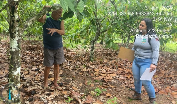 Assistência Técnica e Extensão Rural (ATER) no município de Brasil Novo – PA