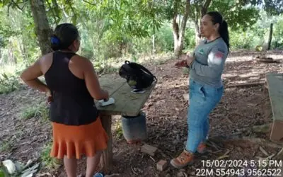 Assistência Técnica e Extensão Rural (ATER) no município de Pacajá, PA
