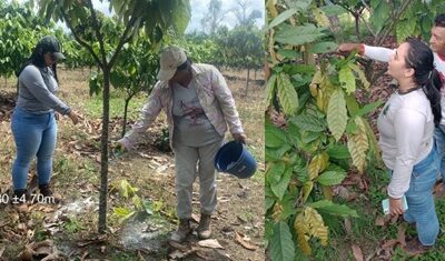 Assistência Técnica e Extensão Rural (ATER) no município de Altamira-PA