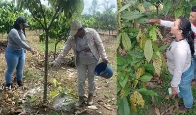 Assistência Técnica e Extensão Rural (ATER) no município de Altamira-PA