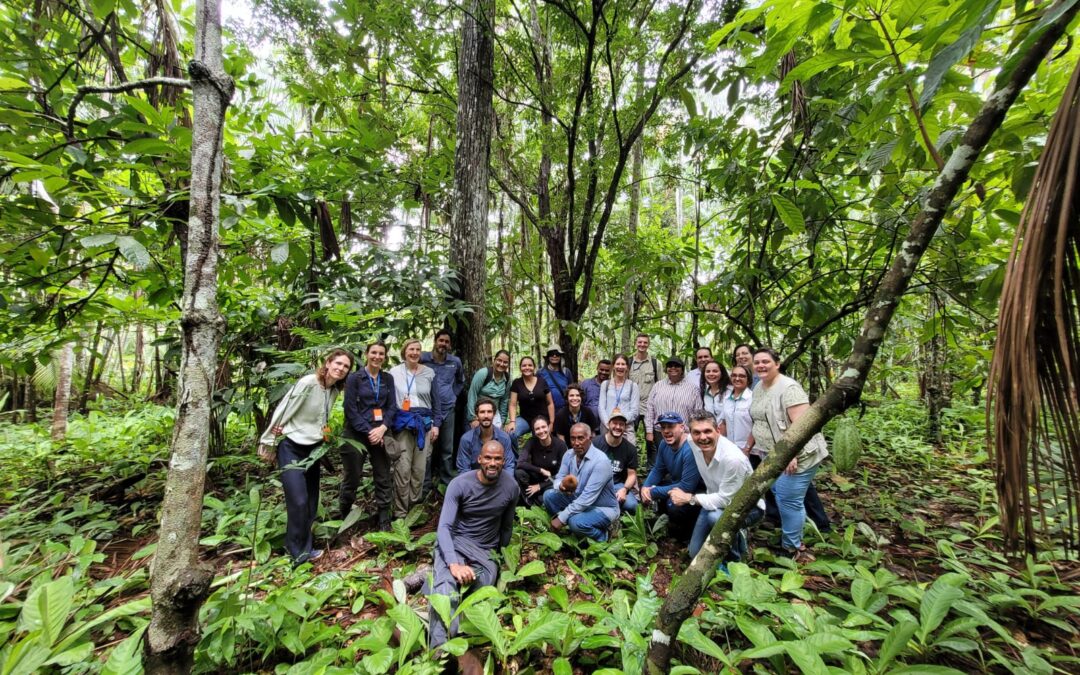 FVPP acompanha Embaixada do Reino Unido, TNC e IABS em visita à agricultores selecionados no Projeto Rural Sustentável (PRS) Amazônia