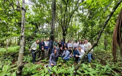 FVPP acompanha Embaixada do Reino Unido, TNC e IABS em visita à agricultores selecionados no Projeto Rural Sustentável (PRS) Amazônia