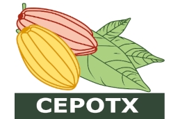 CEPOTX