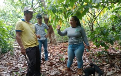Assistência Técnica e Extensão Rural no municipio de Brasil Novo-Pa