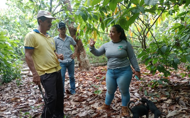 Assistência Técnica e Extensão Rural no municipio de Brasil Novo-Pa
