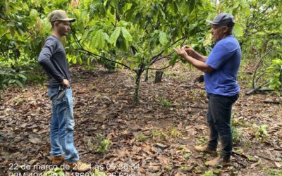 Assistência Técnica e Extensão Rural (ATER) no municipio de Vitória do Xingu-Pa