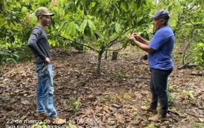 Assistência Técnica e Extensão Rural (ATER) no municipio de Vitória do Xingu-Pa