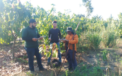 FVPP realiza cadastro de famílias do P.A Assurini no projeto SAFE