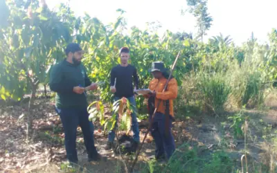 FVPP realiza cadastro de famílias do P.A Assurini no projeto SAFE