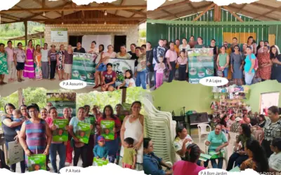 Mapeamento de cadeias de valor com enfoque em gênero (pecuária e cacau), projeto SAFE.