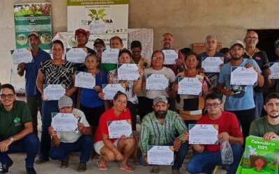 Prática sobre Técnicas de Adubação na Lavoura Cacaueira