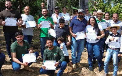 Dia de campo sobre Pecuária Sustentável – Pa Assurini