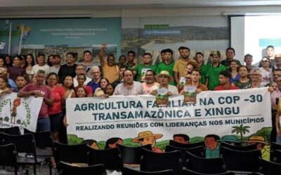 Mobilização para COP30