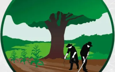 Políticas de serviços e contratações da FVPP