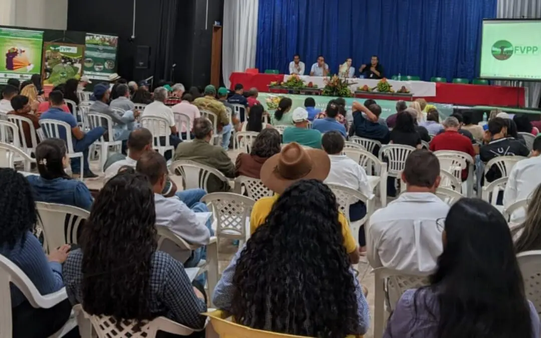 Seminário Regional “Pecuária Sustentável na Transamazônica e Xingu: Desafios e Oportunidades”