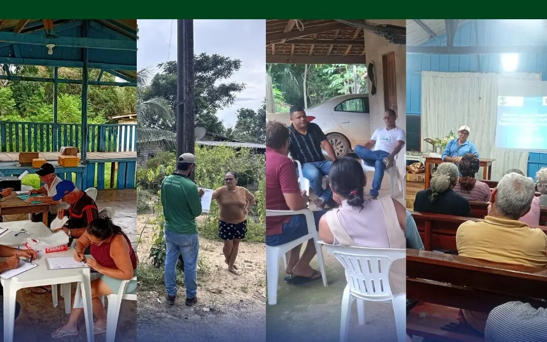 Atividades semanais elaboradas pela equipe da FVPP