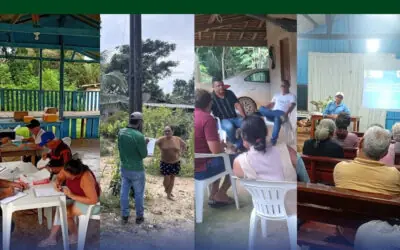 Atividades semanais elaboradas pela equipe da FVPP