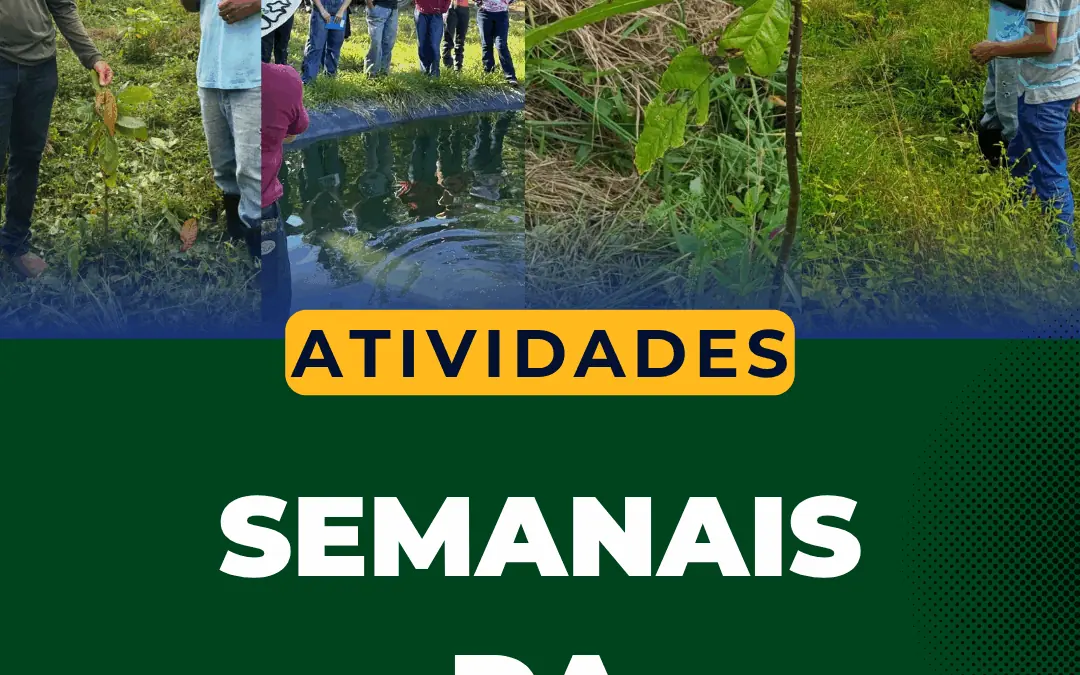 Agenda Semanal FVPP