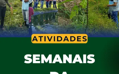 Agenda Semanal FVPP