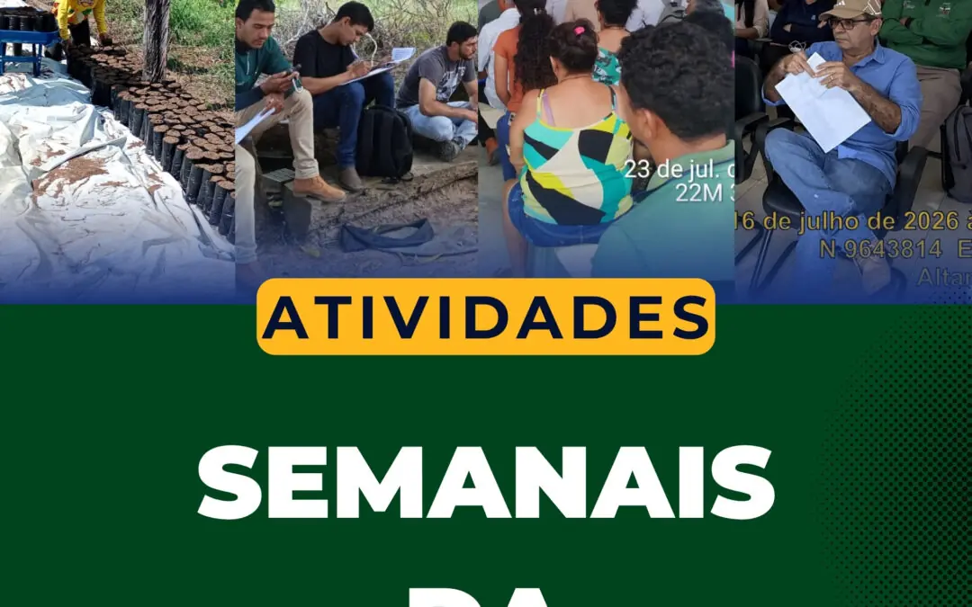 Atividades da FVPP desenvolvidas ao longo da semana do mês de julho, promovendo assistência técnica, fortalecimento da agricultura familiar, regularização fundiária, capacitações e o desenvolvimento sustentável na Transamazônica e Xingu.